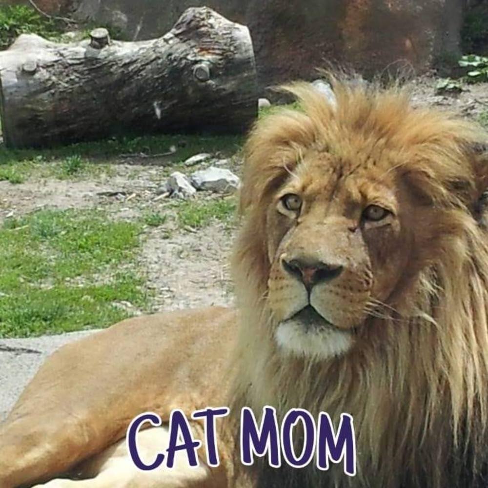 Meet your Posher, Carolann